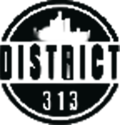 District 313 Apparel logo