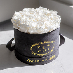Venus et Fleur banner