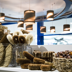 Biome Eco Stores banner