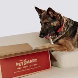 PetSmart banner