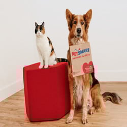 PetSmart banner