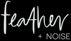 Feather and Noise logo