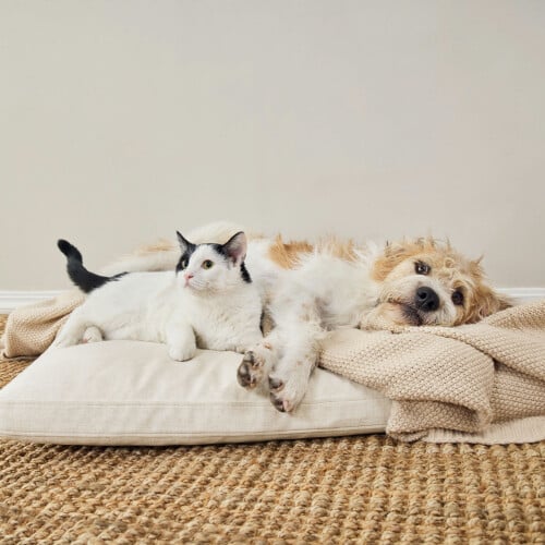 PetSmart banner