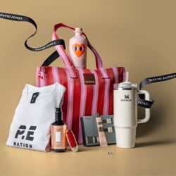 David Jones banner