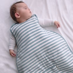 The Sleep Store banner