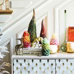 Anthropologie banner