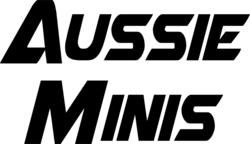 Store Logo