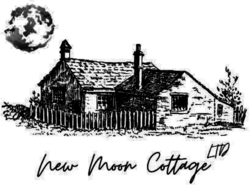 Store Logo
