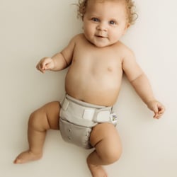 Baby Beehinds banner