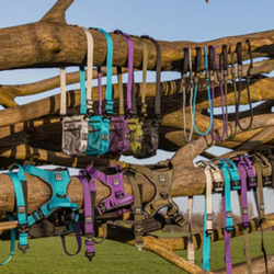 Hunter Hounds banner