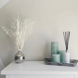 Pampas Box banner