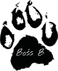 Store Logo