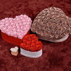 Venus et Fleur banner