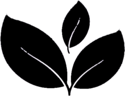 iLandscape Sunshine Coast logo