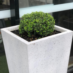 iLandscape Sunshine Coast banner