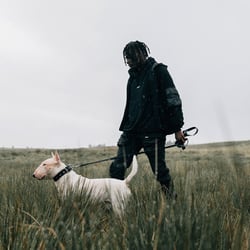 Represent Clothing banner