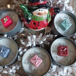 The Wax Melt Fairy banner