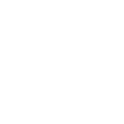 ringers western 2 for 1