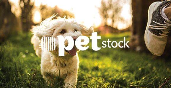 Pet stock online sale