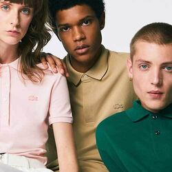 Lacoste banner