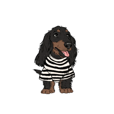 Pets on Afterpay Buy now pay later with Afterpay