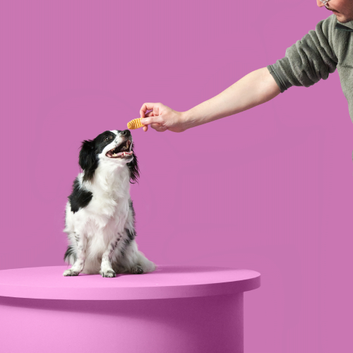 Buy now, pay later at PetSmart