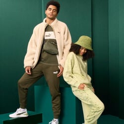 Puma banner