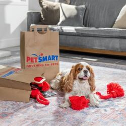 PetSmart banner
