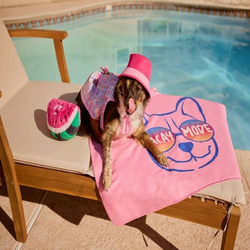 PetSmart banner