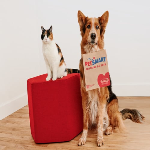 PetSmart banner